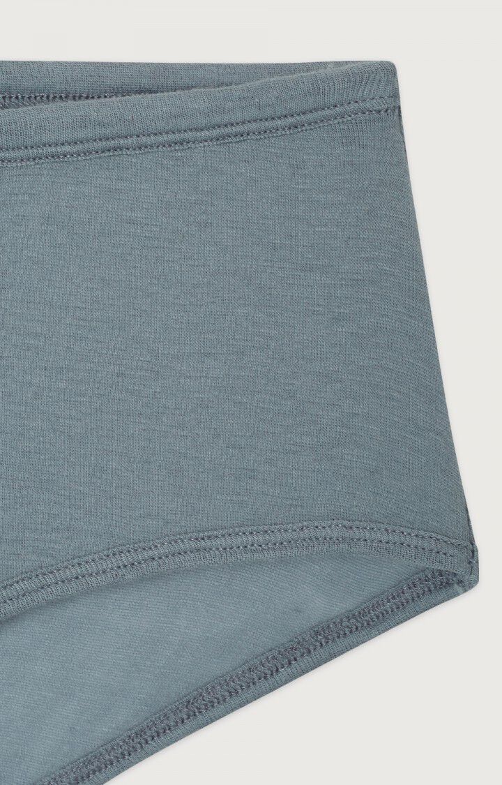 American Vintage Massachusetts Panties