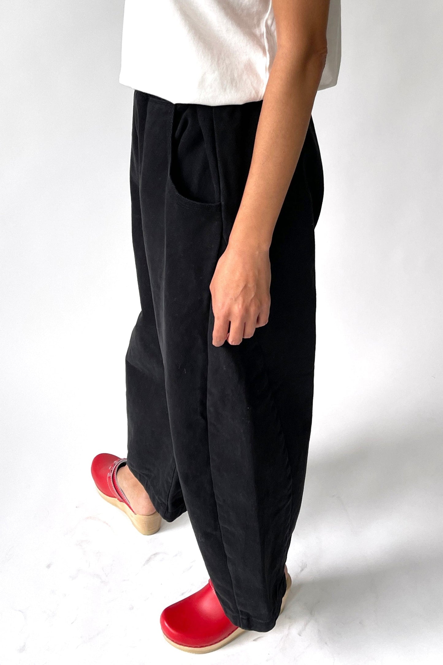 Le Bon Shoppe Arc pants in Washed Black Canvas